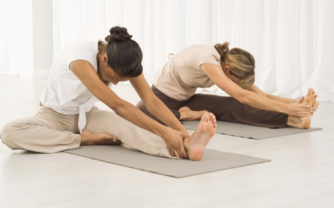 Yoga (tradition du Hatha yoga)